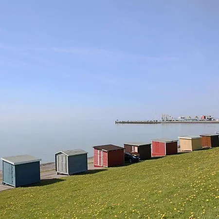 Strandflieder By Interhome Dagebüll