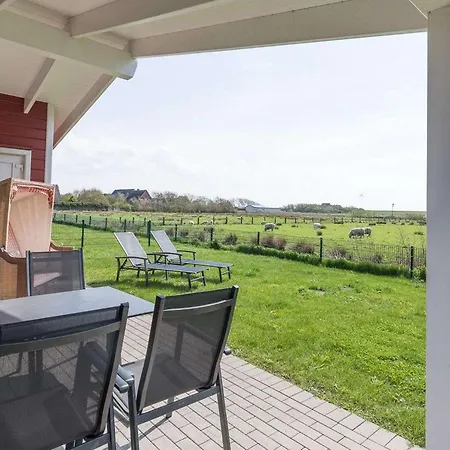 Strandflieder By Interhome Dagebüll
